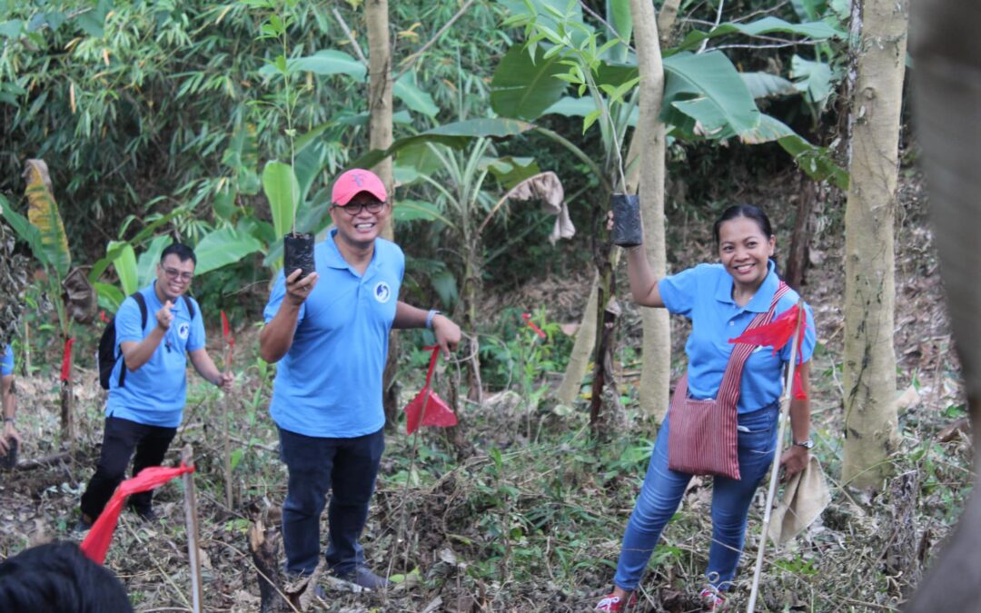 Tree Planting 2024