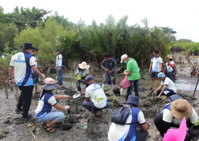 Mangrove Tree Planting, Clean-Up Drive & Culmination of Season of Creation 2026